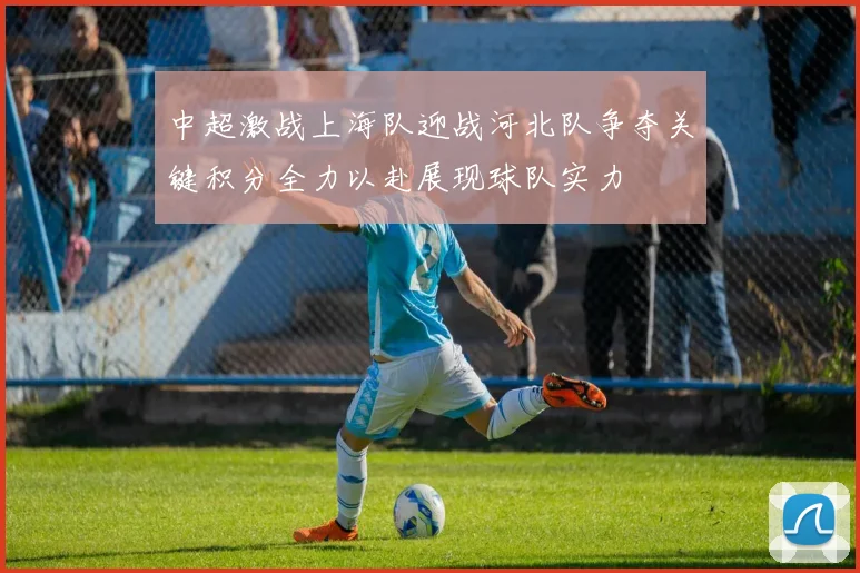 中超激战上海队迎战河北队争夺关键积分全力以赴展现球队实力